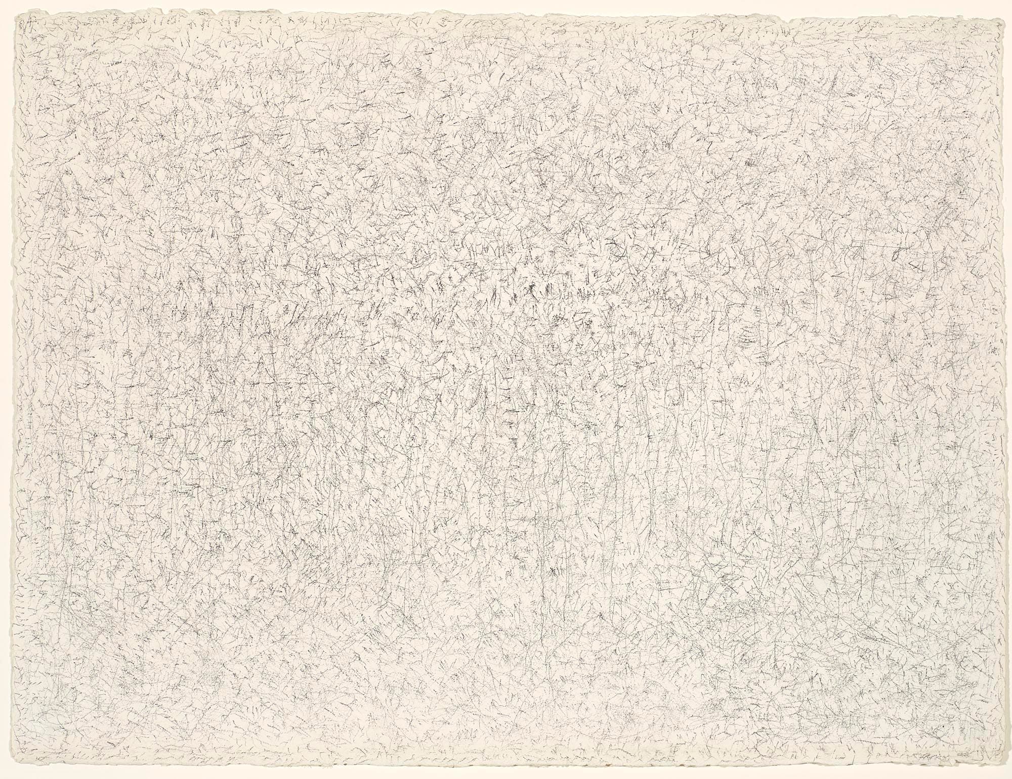 Untitled (Ramapo Freeze)
1976
Graphite on paper
22 1/2 x 30 in. (57.2 x 76.2 cm)
Bowdoin College Museum of Art, Brunswick, Maine
 – The Richard Pousette-Dart Foundation