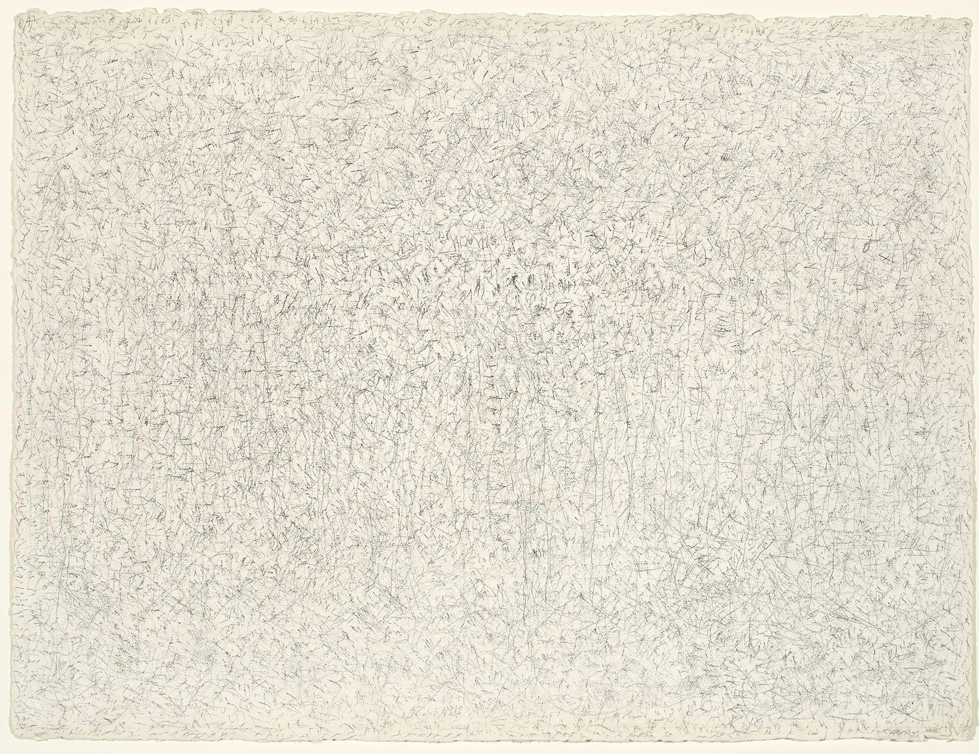 Untitled (Ramapo Freeze)
1976
Graphite on paper
22 1/2 x 30 in. (57.2 x 76.2 cm)
Bowdoin College Museum of Art, Brunswick, Maine
 – The Richard Pousette-Dart Foundation