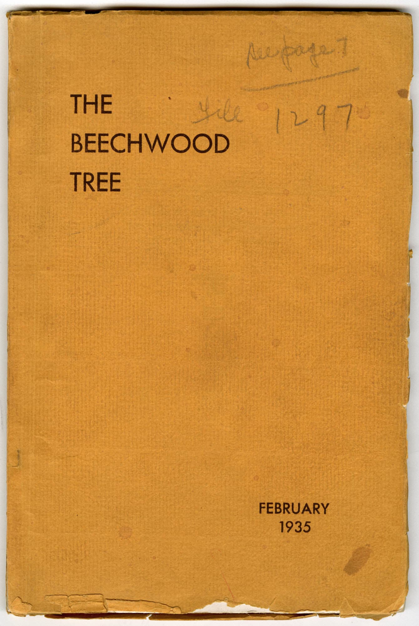 The Beechwood Tree, 1935 – The Richard Pousette-Dart Foundation