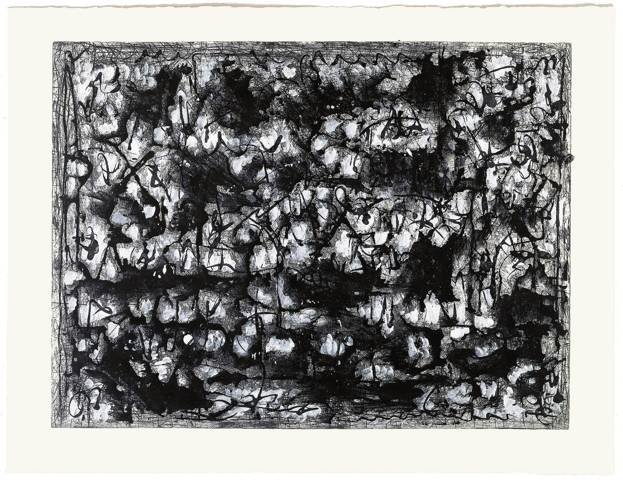 Black and White Landscape
1979
Etching with acrylic
18 x 23 7/8 in. (45.7 x 60.6 cm)
Plate: 17 3/4 x 23 3/4 in. (45.1 x 60.3 cm)
Sheet: 22 1/8 x 31 in. (56.2 x 78.7 cm)
 – The Richard Pousette-Dart Foundation